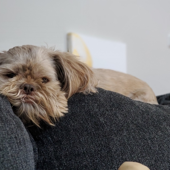 Meet your Posher, Nicole 🦄 - Picture 3 of 5